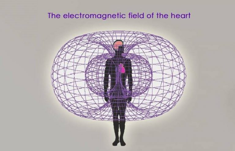 magnetic field heart
